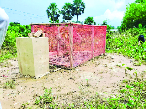 Image of ইশতিয়াক আহমেদ